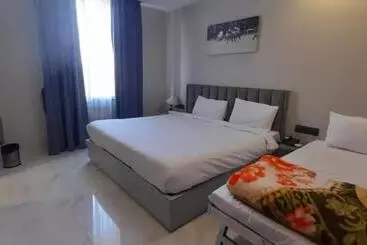 Tushar Group Of Hotels   Polo Inn Sez