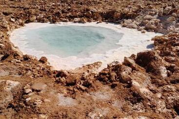 تختخواب و صبحانه Bayt Ward / Shali Fortress