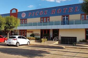 Hotel Picos