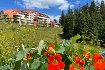 Aparthotel Raikov Ski Lodge