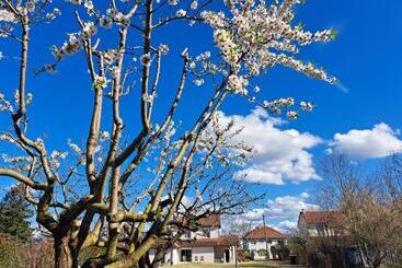 Bed and Breakfast Le Chemin Des Bérands Chambres D Hôtes Renaison