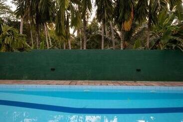 Bed and Breakfast The Sanctuary Villa   Ayurveda Yoga Retreat