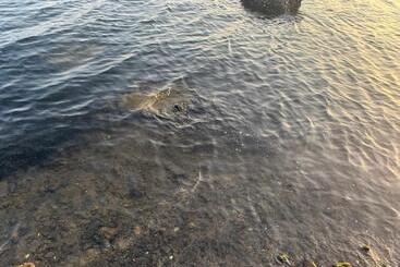 אתר נופש Janz Eden Bay