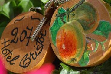 בית מלון כפרי Bristol