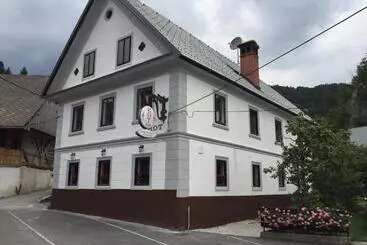 B&b Rot