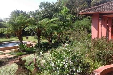 مبيت وإفطار Ambience Inn