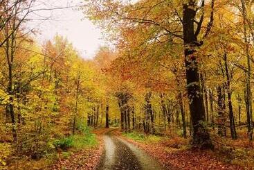 צימר Farmors Lycka