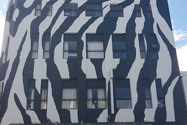 Общежитие Wild Zebra Backpackers