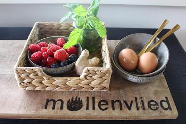 צימר Mollenvlied