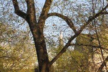 Bed and Breakfast Casa Luna