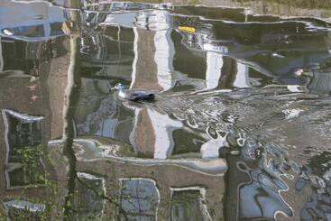 ベッドアンドブレックファースト Casa Luna