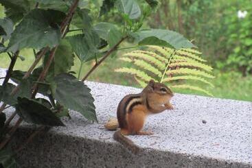 مبيت وإفطار Gîte Saint Laurent