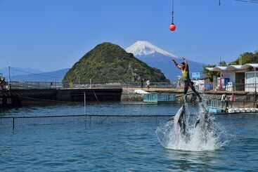 酒店 Laforet Shuzenji