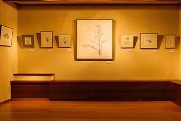 Ryokan Shosenkaku Kagetsu