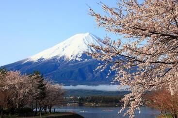 בית מלון כפרי Melange