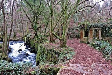 בית מלון כפרי Casa Rural A Pasada
