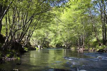 فندق Rural Casa Ana