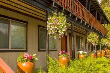 Отель Discovery Inn