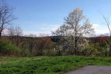 Мотель All Suites Inn Budget Host