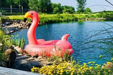 The Bella Ella Bed And Breakfast