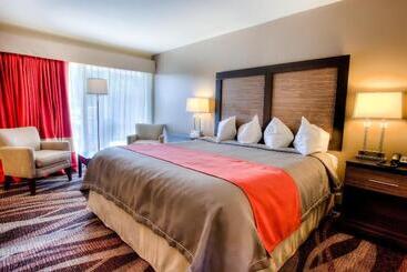 The Beaucatcher – A Boutique Motel