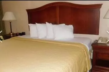 ホテル Danville Suite