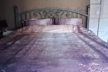 هاستل Lemon Garden