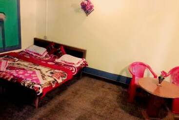 Otel New Green View, Srinagar