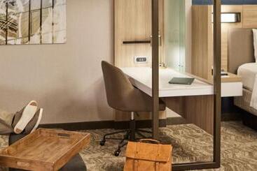 Otel Springhill Suites By Marriott Bowling Green