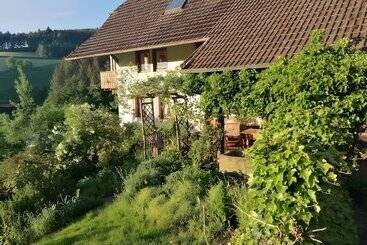 Pensió Room In Guest Room   Double Room Apple Blossom