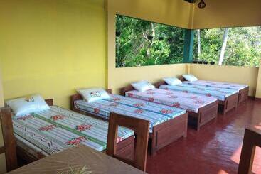 Hostel Why Not Guesthouse