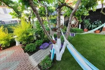 Pension Casa Viselor De Vară