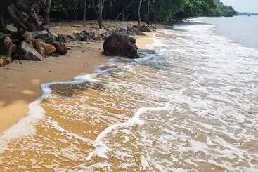 پانسیون Bonhomie Beach Cottage