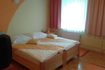 פנסיון Guesthouse Pri županu