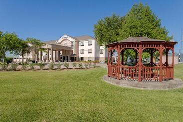 Hotel Comfort Suites