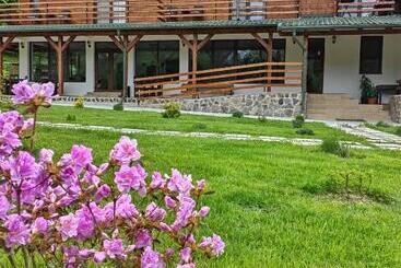 Pensiunea Pastravaria Vistisoara