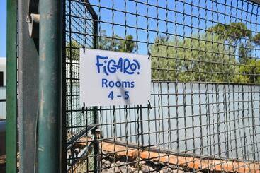 Pensjonat Figaro Rooms   Ischia