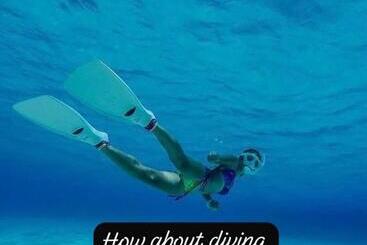 هاستل Island Tours & Airport Service Only