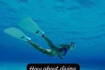هاستل Island Tours & Airport Service Only