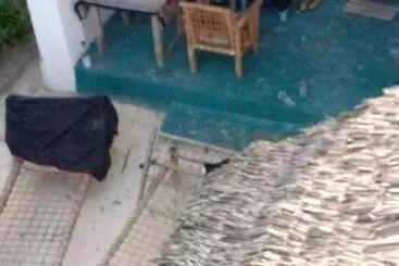 Bed and Breakfast Green View Jambiani