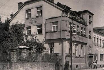 Hotel Penzion Vesely