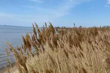 Urlaub Unterm Storchennest Im Ostseeland Rerik