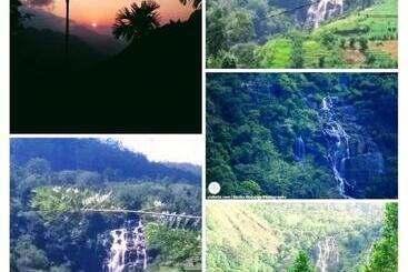 Bed and Breakfast Saddle Cottage