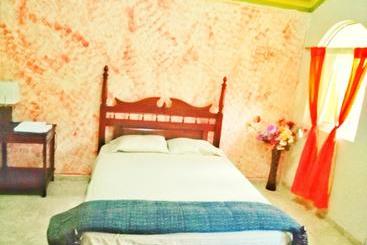 ベッドアンドブレックファースト The Trianon