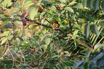 هتل Posada Del Cerro