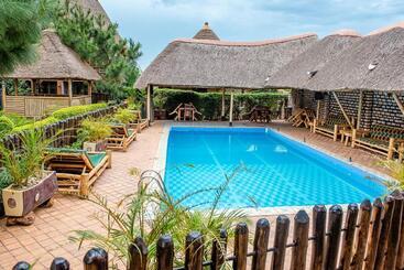 تختخواب و صبحانه Elite Backpackers Services