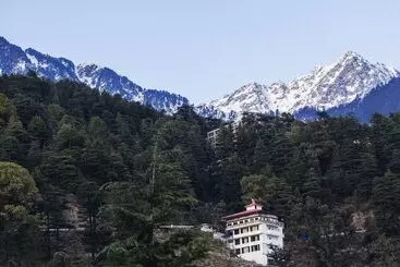 Hotel Jungle Hut
