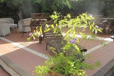Bed and Breakfast Podere Turicchio
