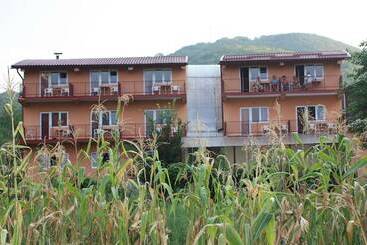 Hotel Pensiune Safrane