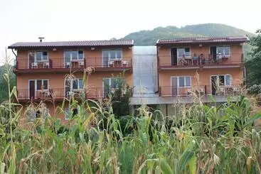Hotelli Pensiune Safrane